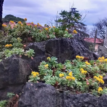 Lilly In With Amazing View Lägenhet Rijeka
