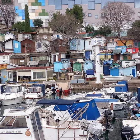 Lilly In With Amazing View غييكا