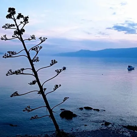 Lilly In With Amazing View Rijeka