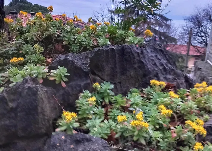 Lilly In With Amazing View شقة غييكا