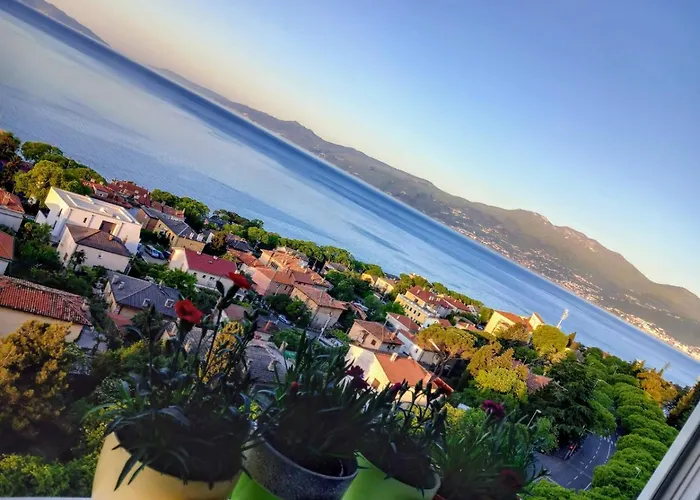 Lilly In With Amazing View